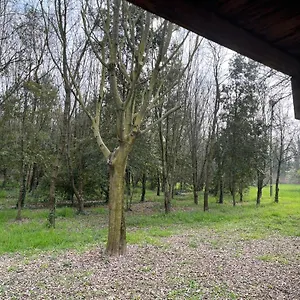 Woods Appartamento